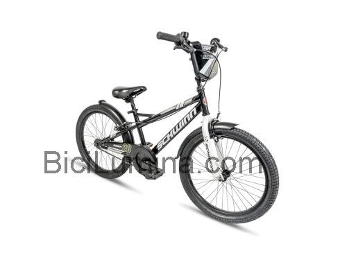 Schwinn Koen ficha técnica y opiniones